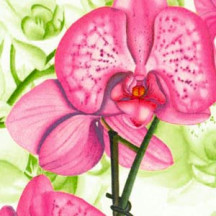 Pink Orchids Italian Paper ~ Tassotti